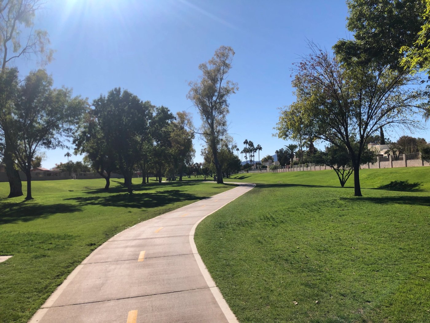 Paved Scottsdale greenbelt path winding through grass and mature trees